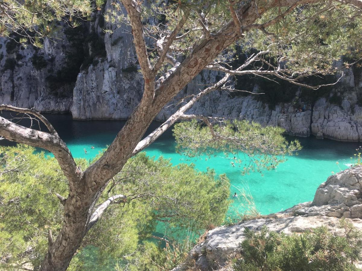 Le Patio Aux Oiseaux Bed and Breakfast Λα Σιοτά Εξωτερικό φωτογραφία
